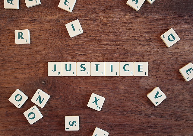 Les avocats et les contentieux en matière de droit social : comment peuvent-ils agir ?