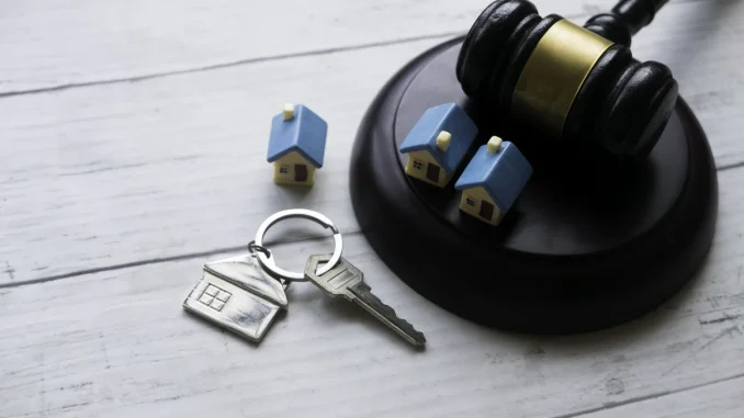 lavocat-en-droit-de-